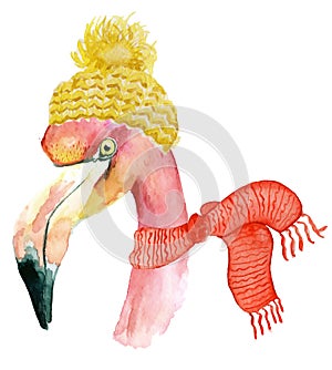 Christmas pink flamingo with winter decorations yellow hat and red scarf