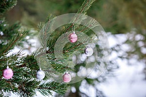 Christmas pink and silver balls on a Christmas tree branch over blurred background