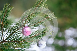 Christmas pink and silver balls on a Christmas tree branch over blurred background