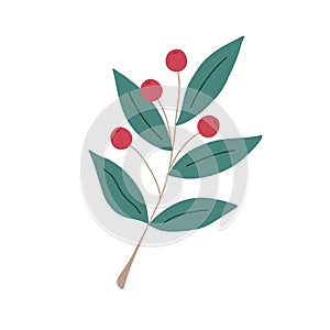 Christmas plant, decorative branch with leaves, light red berries for home decor, festive holiday arrangement, vector illustration