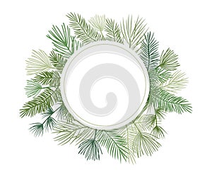 Christmas plant vector img