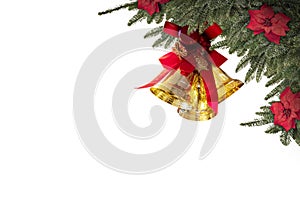 Christmas plants,gold bells isolated white background for greeting card