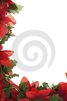 Christmas Poinsettia Border