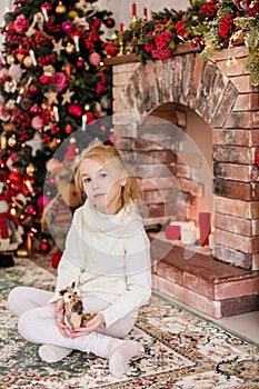 Christmas portrait of happy blonde child girl in white sweater siting on the floor near the Christmas tree and wooden toy horse. N