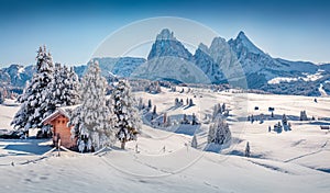 Christmas postcard. Astonishing winter view of Alpe di Siusi village with Plattkofel peak on background.