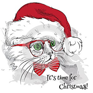 The christmas poster with the image cat portrait in Santa's hat. Vector illustration.