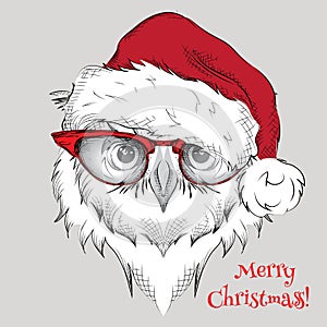 The christmas poster with the image owl portrait in Santa's hat. Vector illustration.