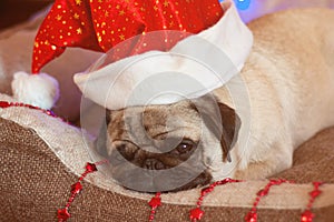 Christmas pug dog with garland and hat santa claus in bed on christmas holidays