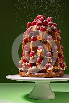 Christmas raspberry decorated Italian sweet bred Pandoro pan d`oro dusted with icing sugar