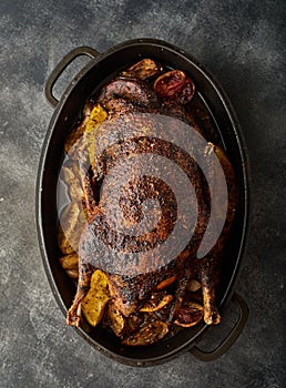 A Christmas recipe for roasted goose stuffed with baked apples, on a gray background