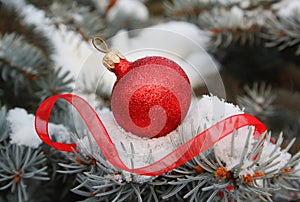 Christmas red ball with ribbon on christmas tree