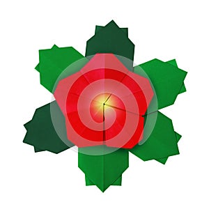 Christmas red flower