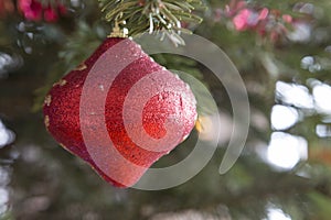 Christmas red toy on a branch of pine