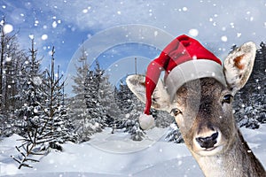 Christmas reindeer with a festive hat and snowflakes falling in the background