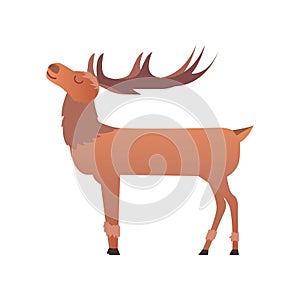 Christmas reindeer holiday mammal deer xmas celebration cute decoration winter art new year wildlife animal