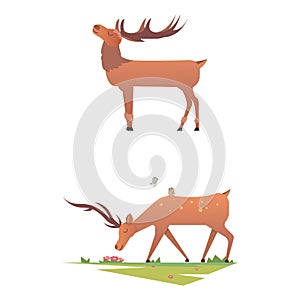 Christmas reindeer holiday mammal deer xmas celebration cute decoration winter art new year wildlife animal character