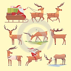 Christmas reindeer holiday mammal deer xmas celebration cute decoration winter art new year wildlife animal and santa