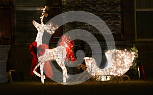 Christmas Reindeer and Sleigh at Night