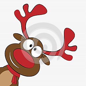 Christmas reindeer photo