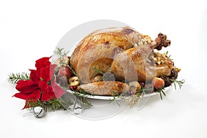 Christmas Roasted Turkey with Grab Apples over white