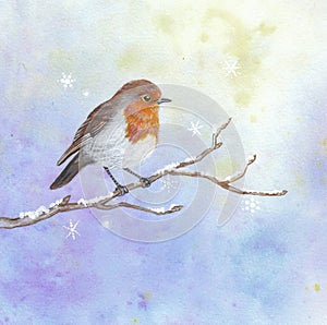 Christmas robin