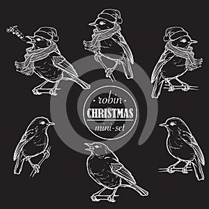 Christmas Robin. Set of 6 hand drawn sketch style pictures of Robin in different angles with or without hat and scarf