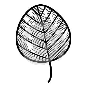 Christmas round tree leaf icon, hand drawn and outline style