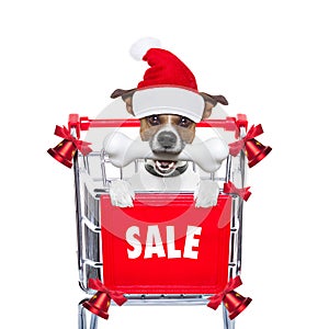 Christmas sale dog