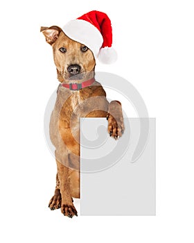 Christmas Santa Dog With Blank Sign