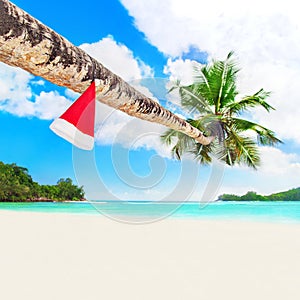 Christmas Santa hat on palm tree at tropical sandy ocean beach