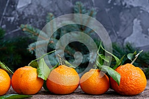 Christmas scene with tangerines photo