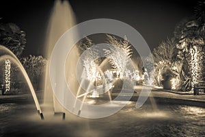 Christmas season lights and decorations at daniel stowe gardens