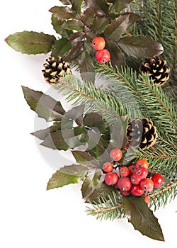 Christmas seasonal border of holly, mistletoe, sprigs with pine cones