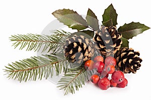 Christmas seasonal border of holly, mistletoe, sprigs with pine cones