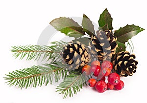 Christmas seasonal border of holly, mistletoe, sprigs with pine cones