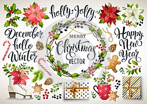 Christmas set design of poinsettia, fir branches, cones, holly and other plants. Cover, invitation, banner, greeting c