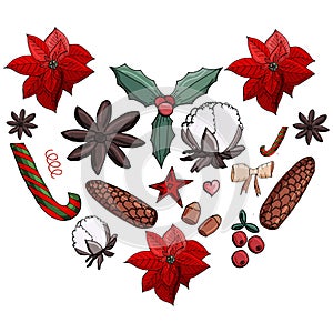 Christmas set poinsettia, cone, cotton. omela, cinnamon, cranberry, nuts, star,candy cane, bow in the hearth shape.