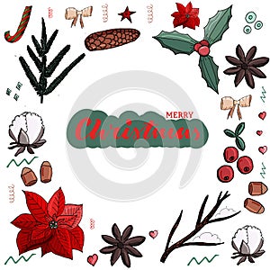 Christmas set poinsettia, cone, cotton. omela, cinnamon, cranberry, nuts, star, fir, candy cane, bow in the circle shape.