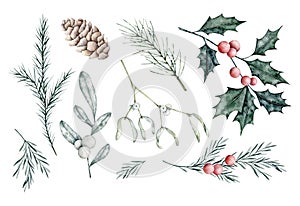 Christmas Set of snowberry, eucalyptus, spruce branch, rosemary twig, Mistletoe, dusty Miller, pine cone, ilex, holly