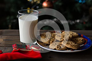 Christmas shoe, cookies and a glass of milk