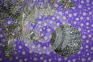 Christmas silver ball hanging on the tree with beautiful bokeh