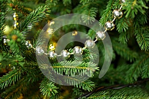 Christmas silver beads hanging in a christmas tree