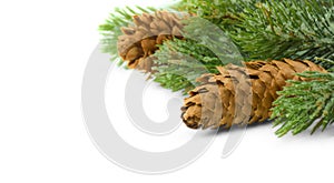 Christmas . Snow-covered fir branches and cones.  on a white background. Christmas or Winter holiday concept. Isolated