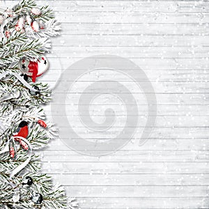 Christmas snow fir tree with berries and bullfinch. Greeting background