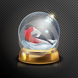 Christmas snow globe with bullfinch isolated on transparent background vector illustration. Winter in glass ball