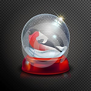 Christmas snow globe with bullfinch isolated on transparent background vector illustration. Winter in glass ball