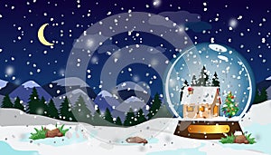 Christmas Snow globe