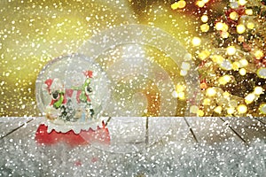 Christmas snow globe.New year