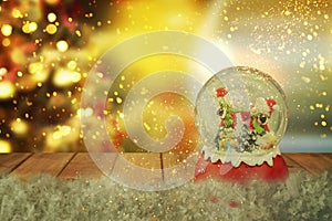 Christmas snow globe.New year