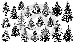 Christmas snowy pine trees. Xmas snow covered pine trees silhouettes, evergreen coniferous woods vector illustration set